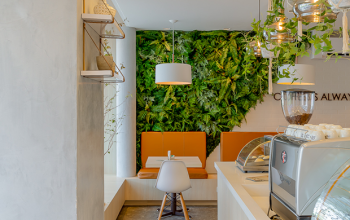 10 benefícios: jardim vertical dentro de casa